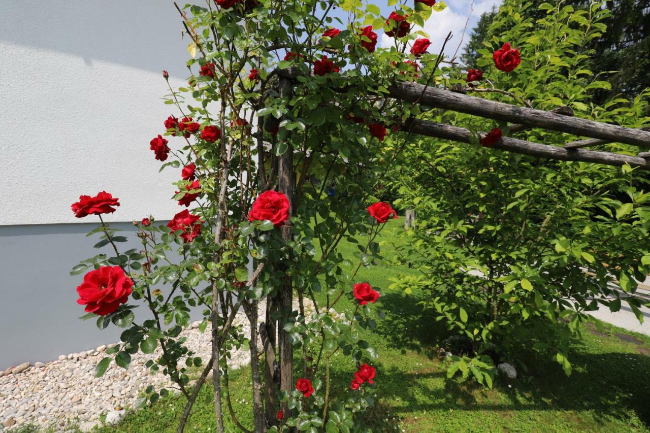 Adventure Cottage With Pool And Big Garden Bled Eksteriør billede